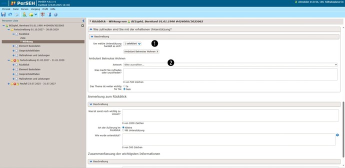 Screenshot PerSEH Zufriedenheit erhaltene Unterstützung