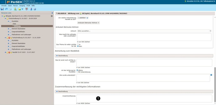 Screenshot PerSEH Anmerkung Zusammenfassung