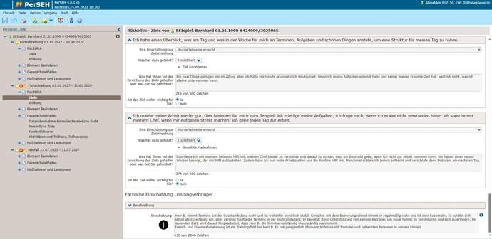 Screenshot PerSEH Fachliche Einschätzung Leistungserbringer