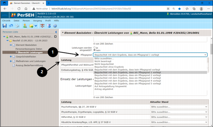 Screenshot der Seite "Übersicht Leistungen" im Bogen Element Basisdaten in PerSEH
